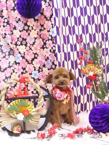 20250105みかんちゃん